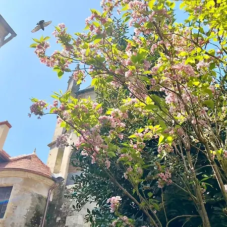 Appartement Centre-ville Entierement Renove