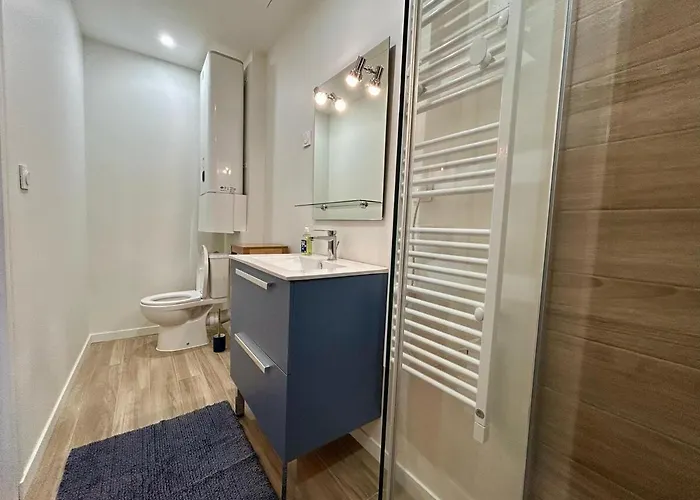 Appartement Centre-ville Entierement Renove