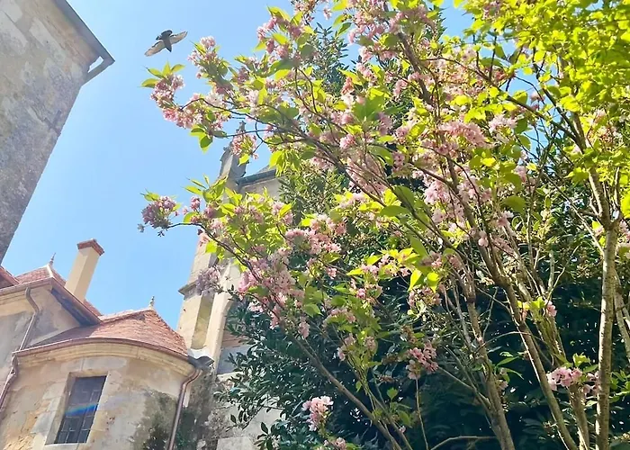 Appartement Centre-ville Entierement Renove