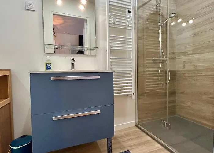 Appartement Centre-ville Entierement Renove